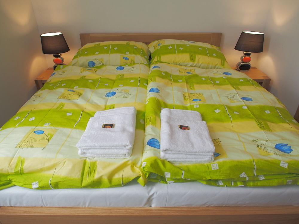 Apartman Helenka Stara Morava タトランスカ・ ロムニツァ エクステリア 写真